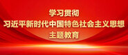 白丝美女被大鸡巴操学习贯彻习近平新时代中国特色社会主义思想主题教育_fororder_ad-371X160(2)